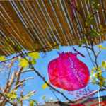 Sukkah Decorating