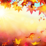 Parent & Me Fall Series