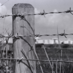 Social Group Meeting