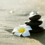Women's Wellness with Enid Bush